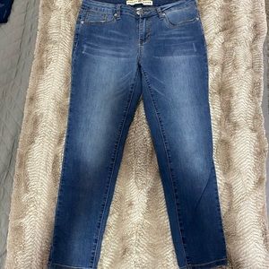 Ashley Mason High Rise Skinny Ankle Jean